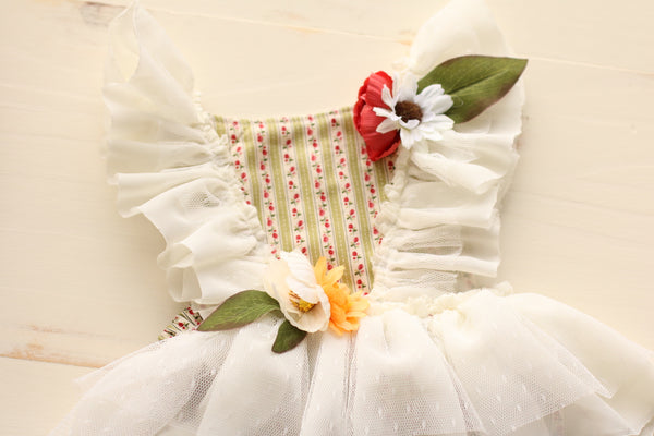 Fall Collection / Gardenia Collection 6-12 m