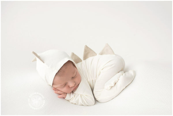 Dinosaur Pajama Set - Willow Mint Props