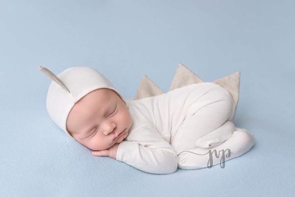 Dinosaur Pajama Set - Willow Mint Props