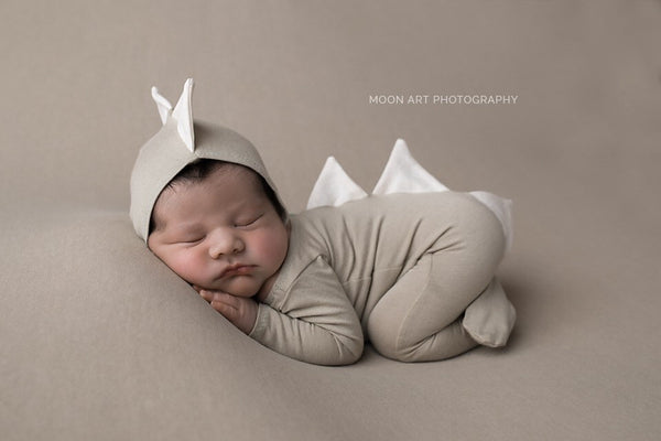 Dinosaur Pajama Set - Willow Mint Props