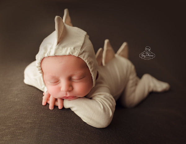 Dinosaur Pajama Set - Willow Mint Props