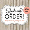 Rush Order *PER OUTFIT* (Your outfit will be made in 1 to 3 Days then shipped.) For faster shipping please choose Priority or Express at checkout. for "Pink Butterfly Romper"